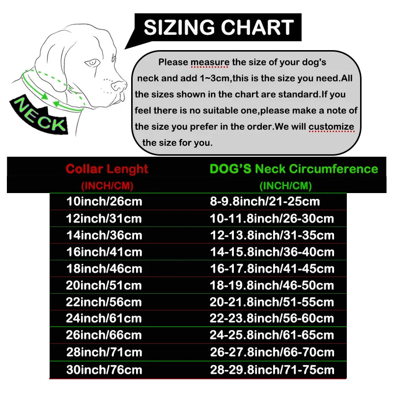 Imperial Sovereign | Wide Stainless Steel Dog Collar (19mm)