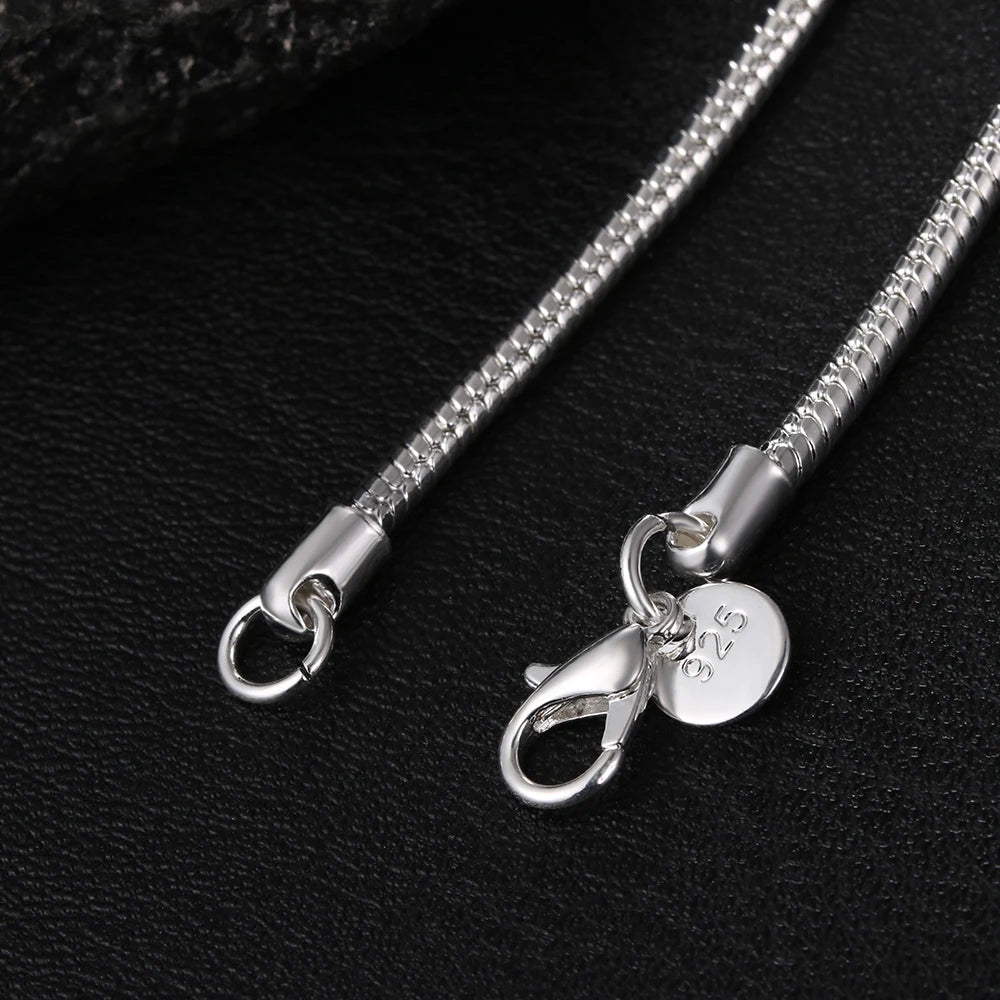 Silver chain necklace with clasp on a black background