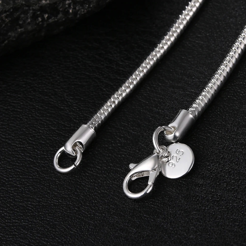 Silver chain necklace with clasp on a black background