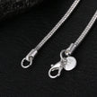 Silver chain necklace with clasp on a black background