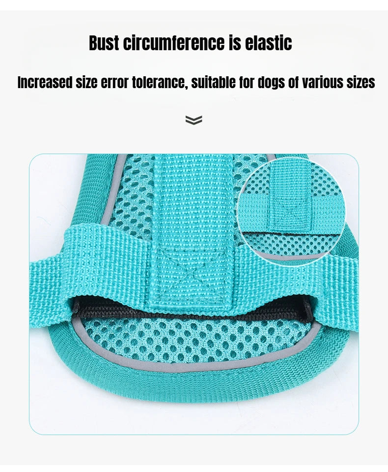 BreezeGuard Mesh Harness & Leash Set