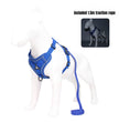 BreezeGuard Mesh Harness & Leash Set
