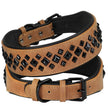 The Guardian Spiked Collar | for Large & XL Breed Dogs