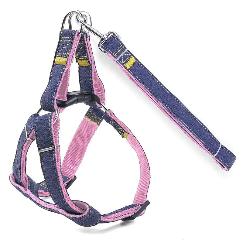 Sparkle Denim Harness & Leash – Adventure Ready!