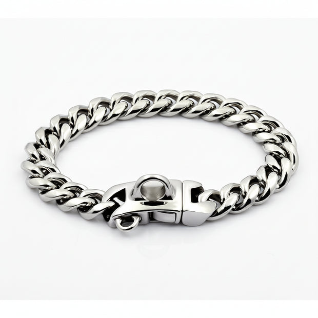 Silver chain dog collar with a clasp on a white background