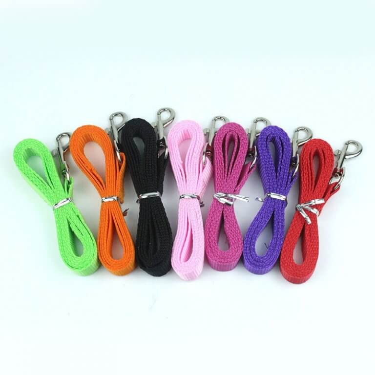 Set of colorful dog leashes with metal clips on a white background
