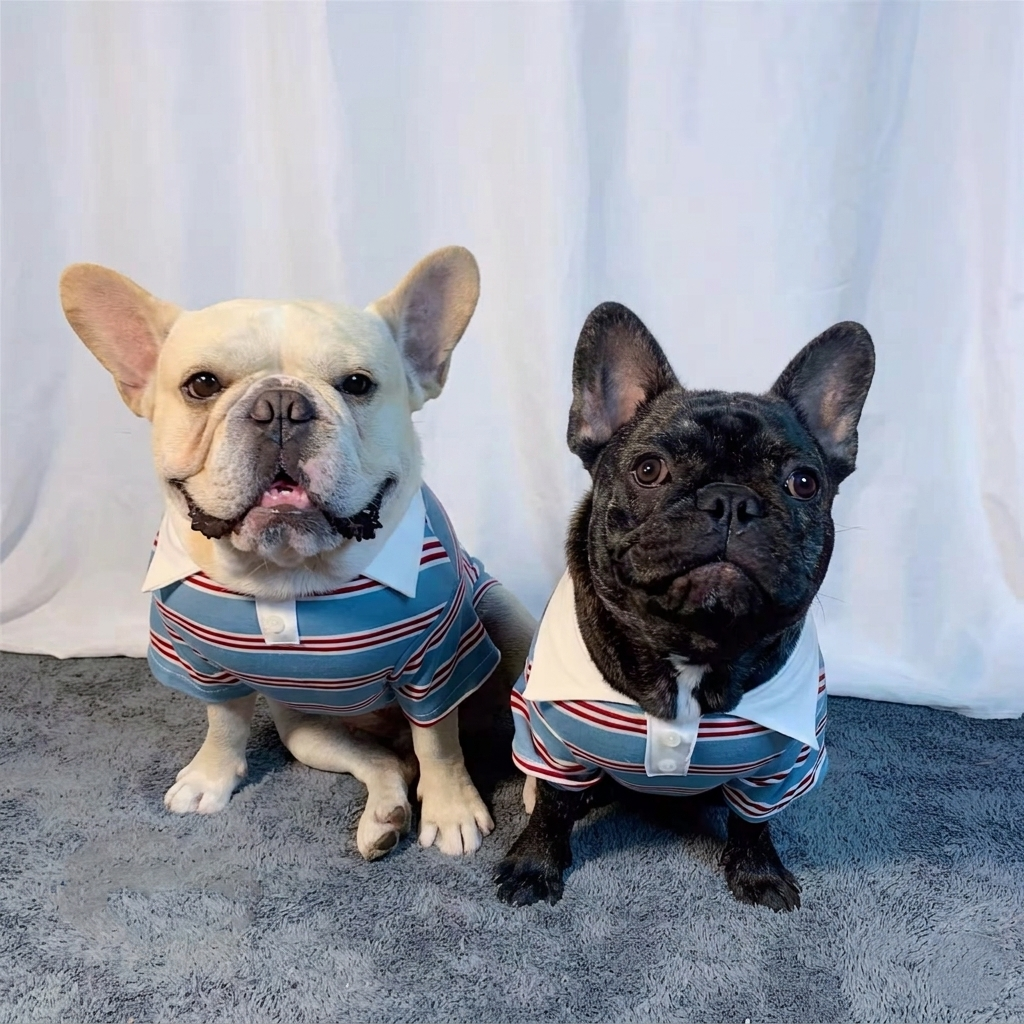 Summer Stripe Polo Dog