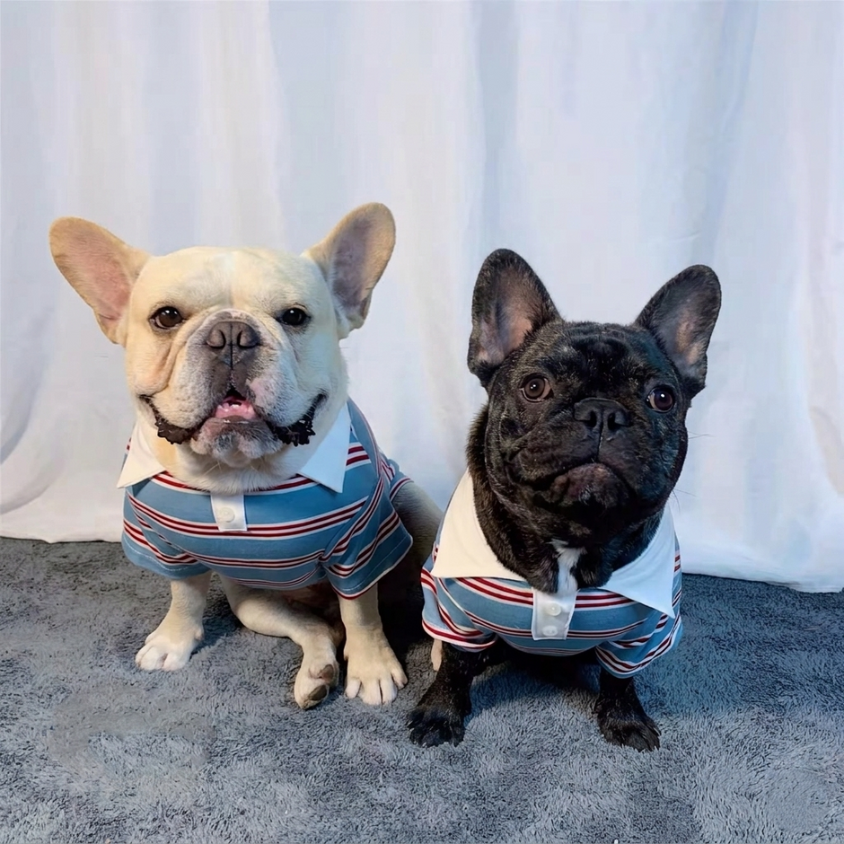Summer Stripe Polo Dog