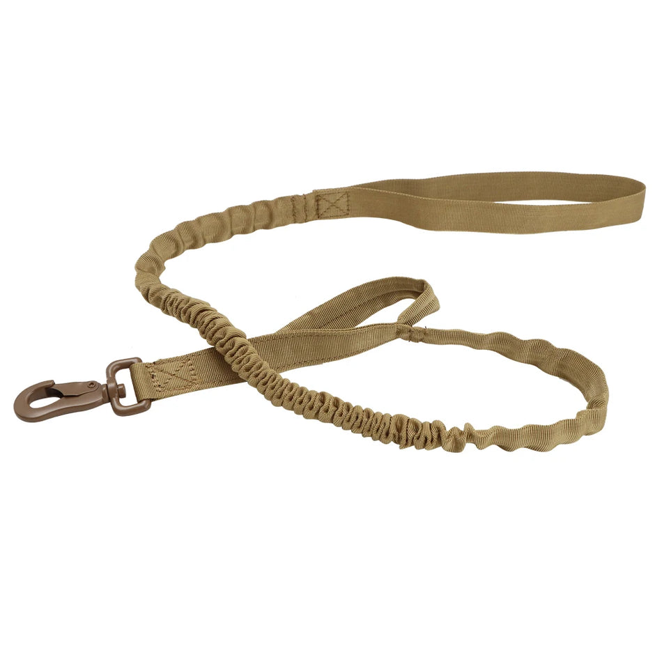 Tan dog leash with a clip on a white background
