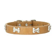 Tan leather dog collar with silver bone-shaped studs on a white background