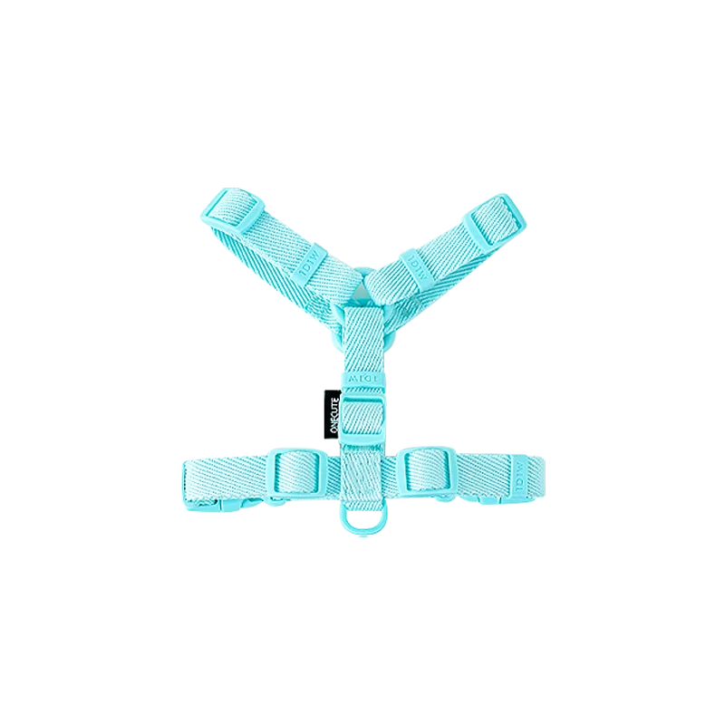 Turquoise dog harness on a white background