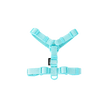 Turquoise dog harness on a white background
