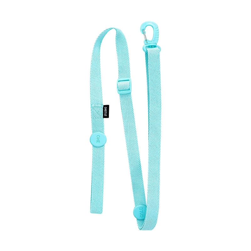 Turquoise dog leash on a white background