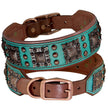 Turquoise leather dog collar with decorative studs on a white background
