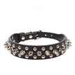 Black leather dog collar with silver spikes and studs on a white background