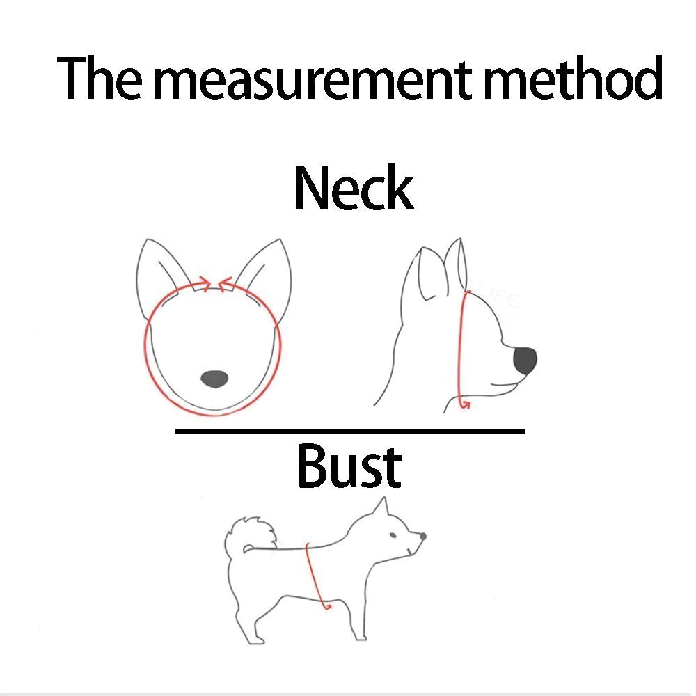 Diagram showing the measurement method for a dog's neck and bust with a line drawing of a dog.