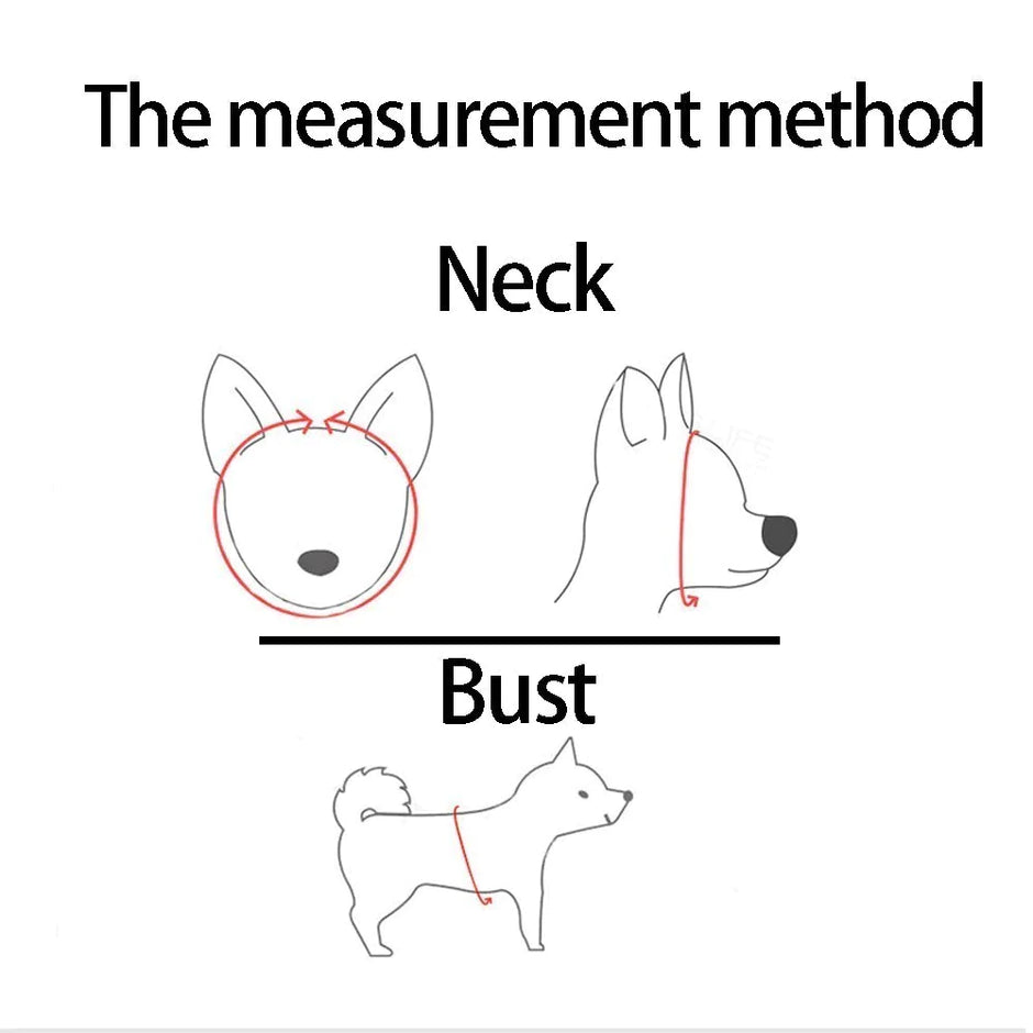 Diagram showing the measurement method for a dog's neck and bust with a line drawing of a dog.