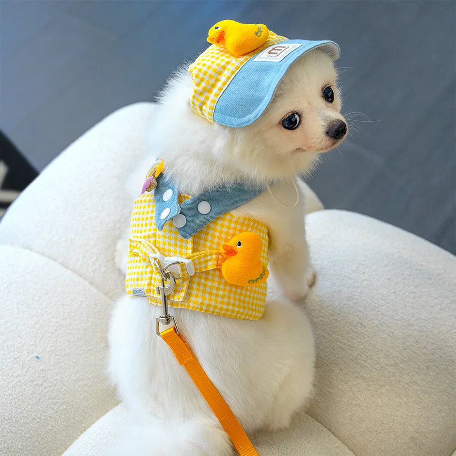 Small white dog wearing a yellow checkered outfit with duck decorations and a blue cap.