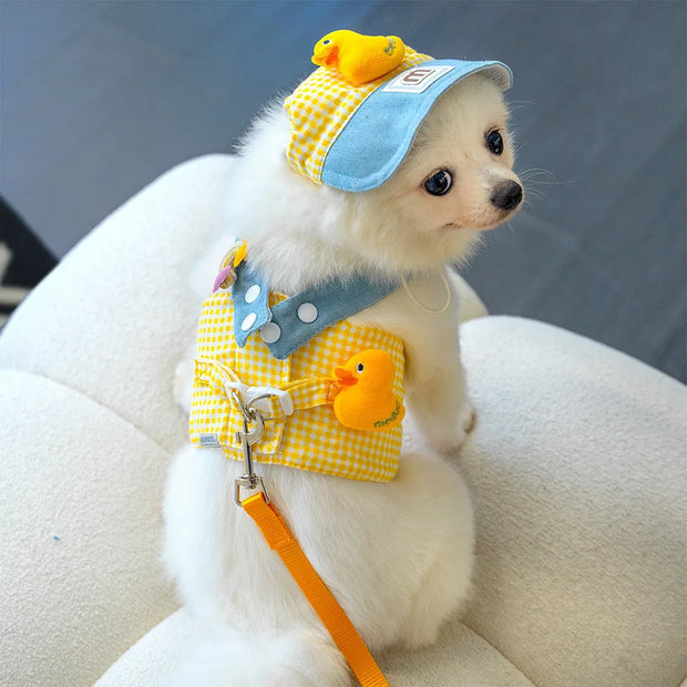 Small white dog wearing a yellow checkered outfit with duck decorations and a blue cap.