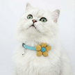 White cat wearing a blue collar with a yellow flower-shaped tag on a white background