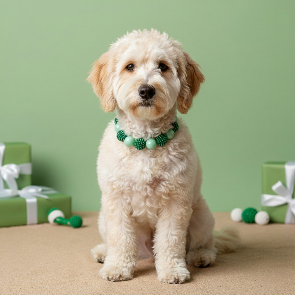 Pearl Elegance Pet Collar ✨🐾