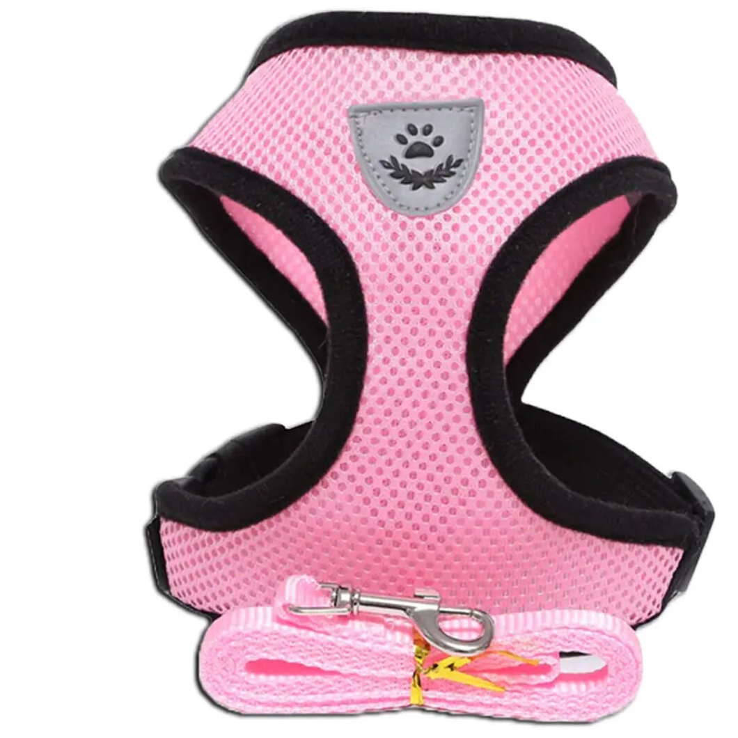 a pink harness and leash on a white background