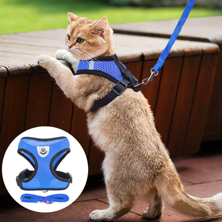 Reflective Safety Pet Harness