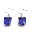 The Gem Drop Earrings