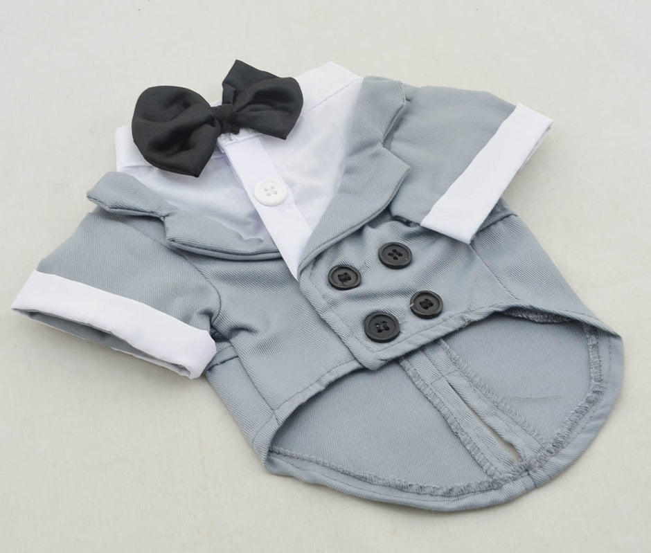 Bow Tie Dog Suit