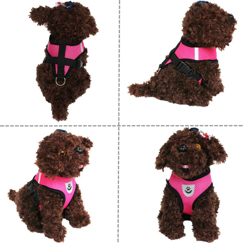 Reflective Safety Pet Harness
