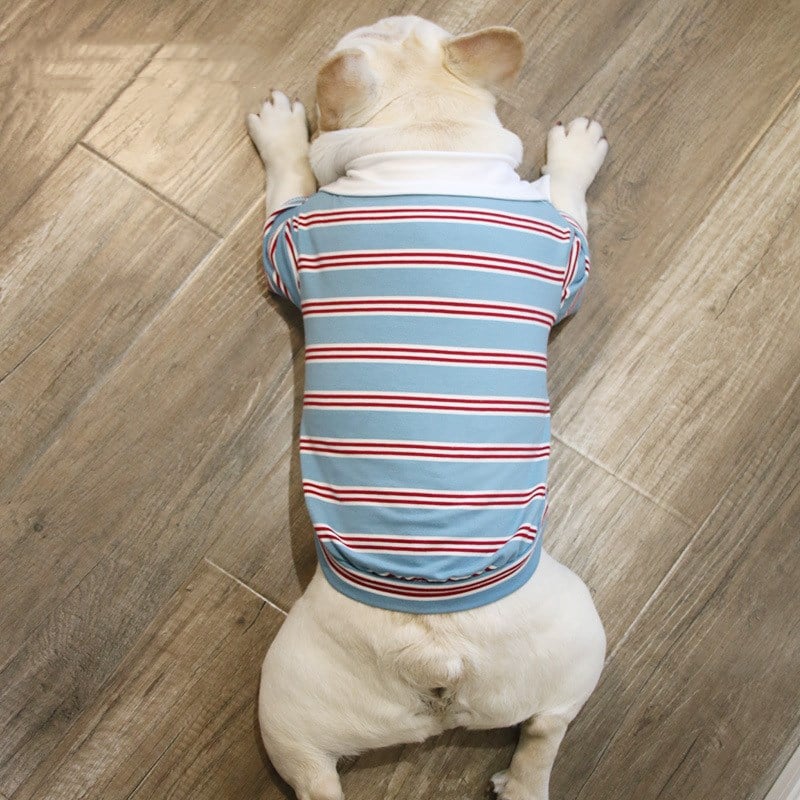 Summer Stripe Polo Dog