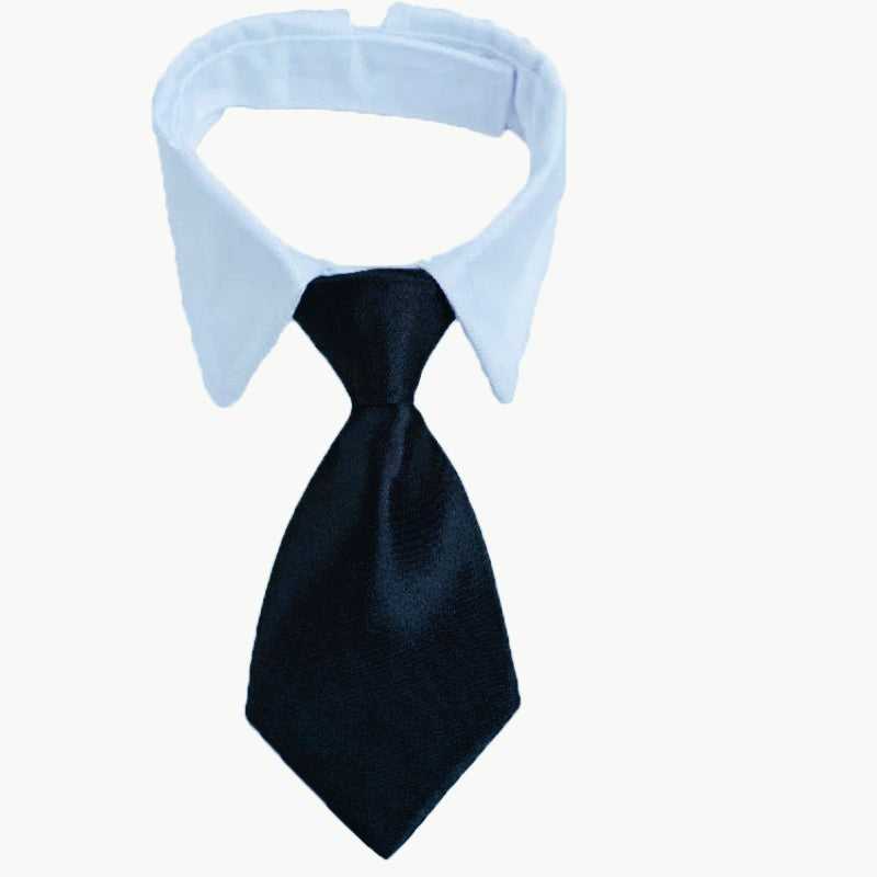 Black tie with a light blue collar on a white background