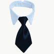 Black tie with a light blue collar on a white background