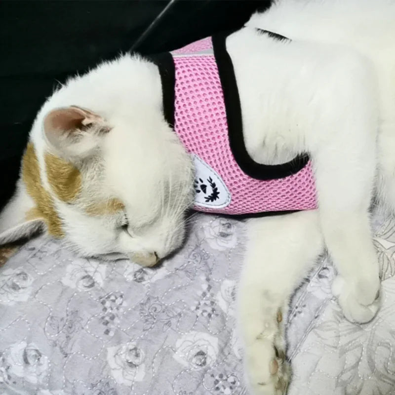 Reflective Safety Pet Harness