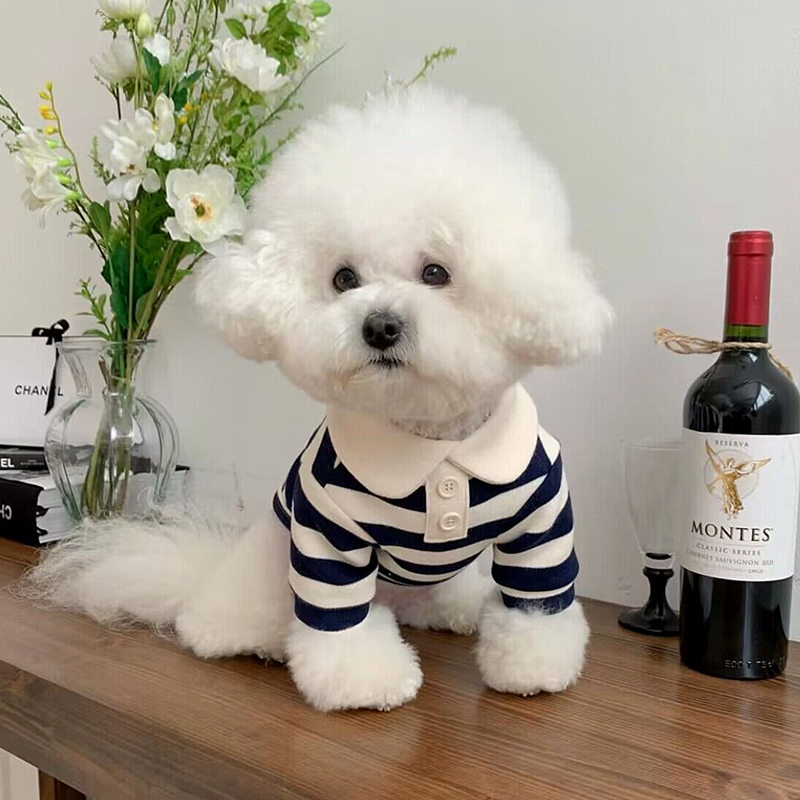 Summer Polo Dog