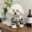 Summer Polo Dog