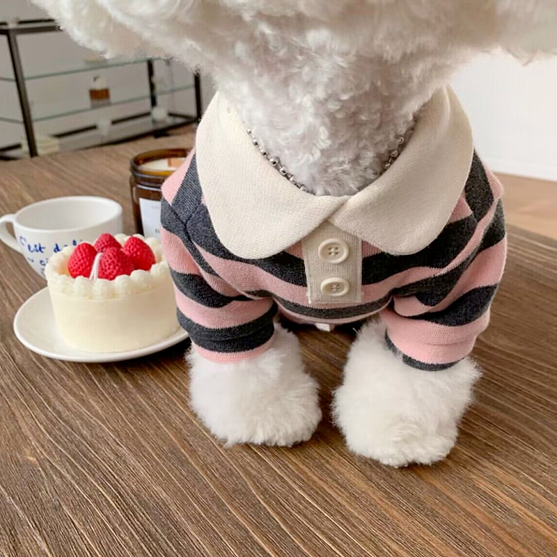 Summer Polo Dog