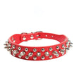 Red dog collar with silver spikes on a white background