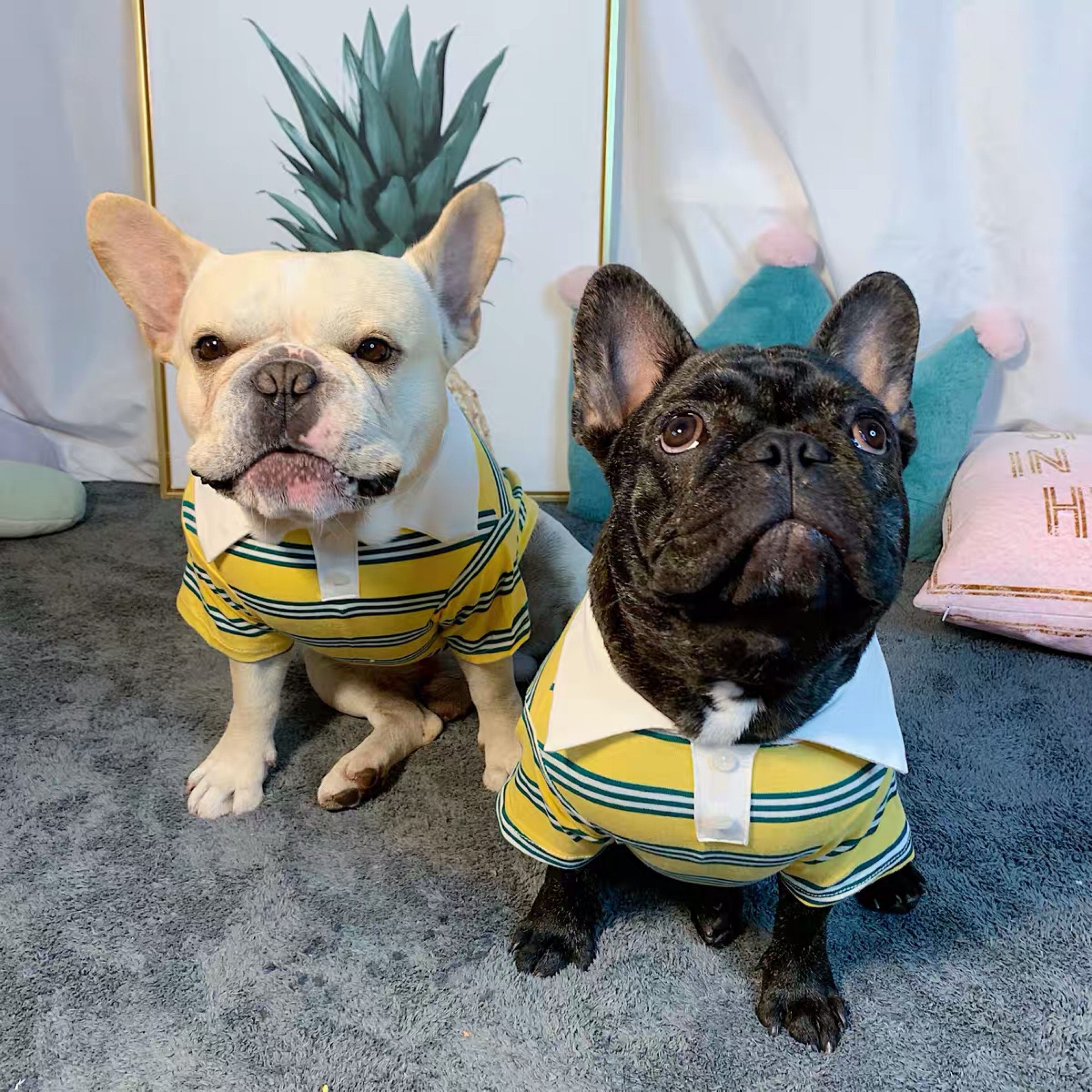 Summer Stripe Polo Dog