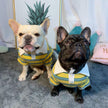 Summer Stripe Polo Dog