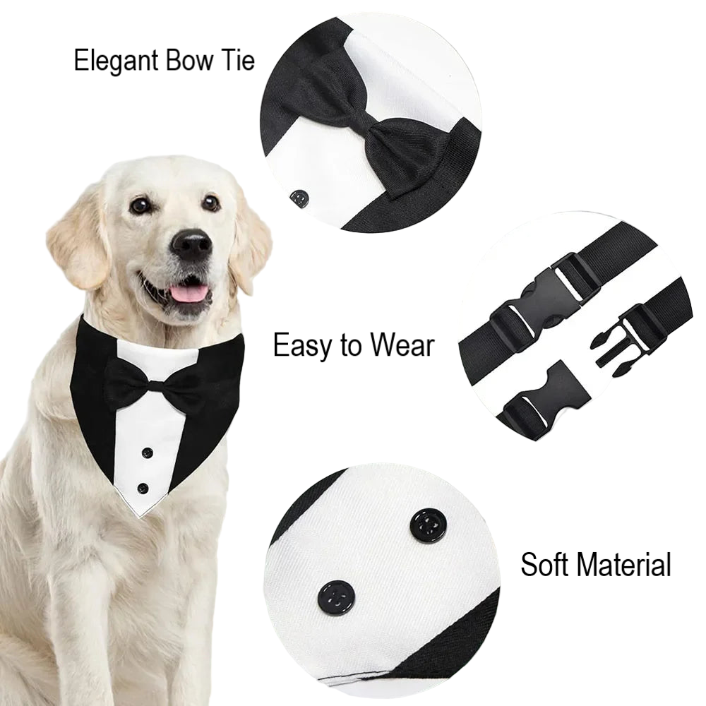 Formal Pup Tuxedo Collar 🐕🦺🎩