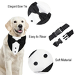 Formal Pup Tuxedo Collar 🐕🦺🎩