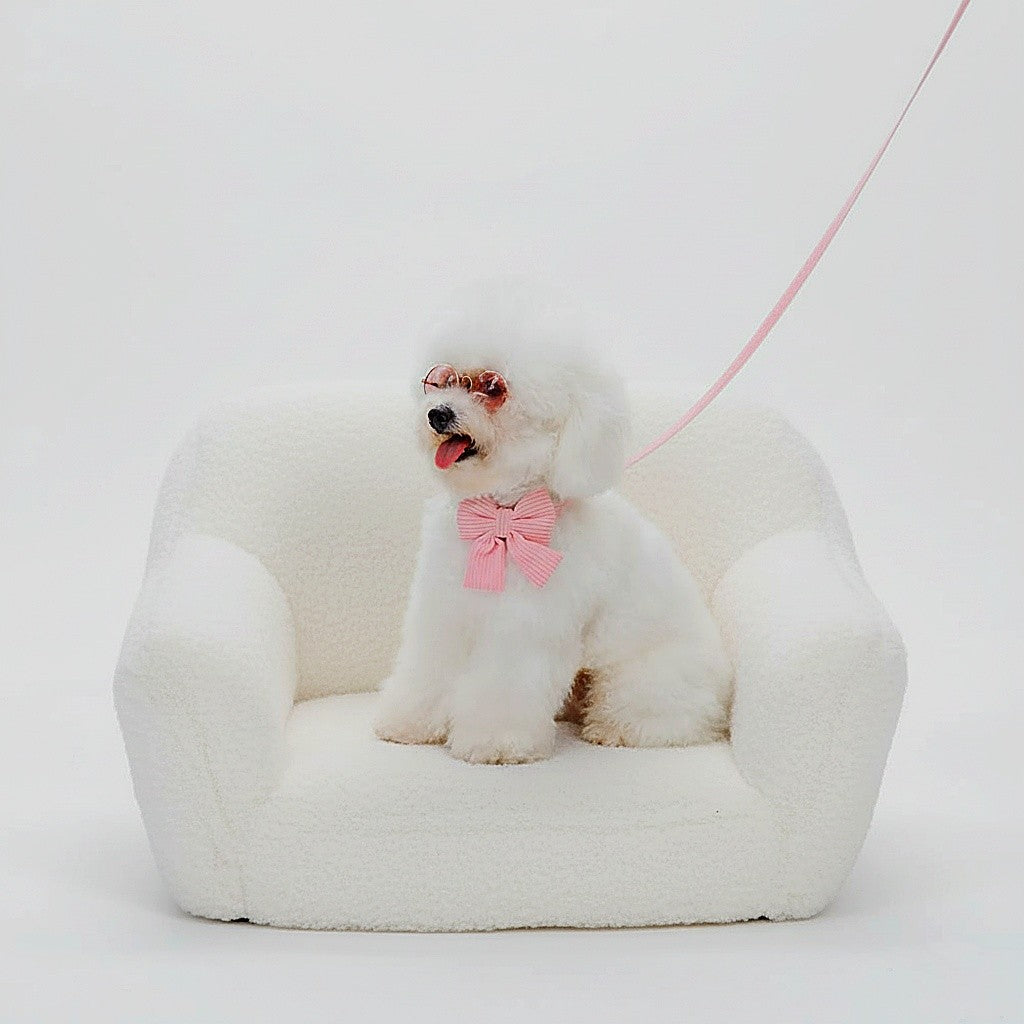 White dog with a pink bow sitting on a white bean bag chair against a white background