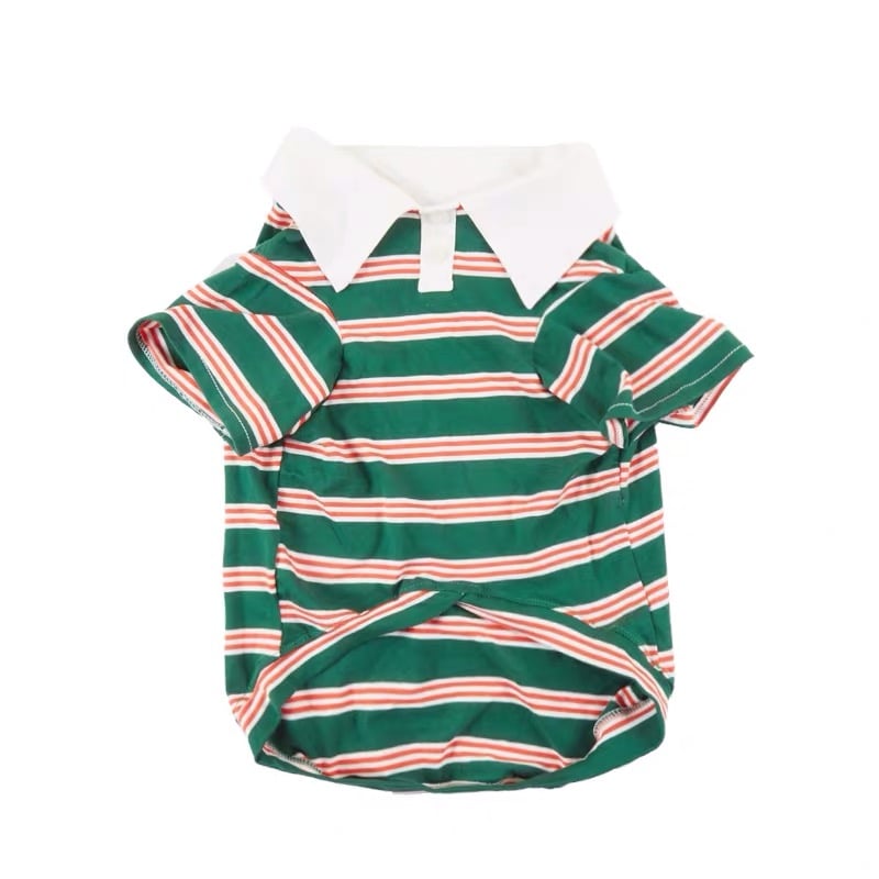 Summer Stripe Polo Dog