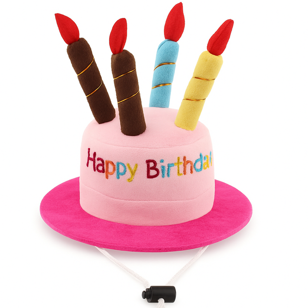 Party Pup Birthday Hat🎉