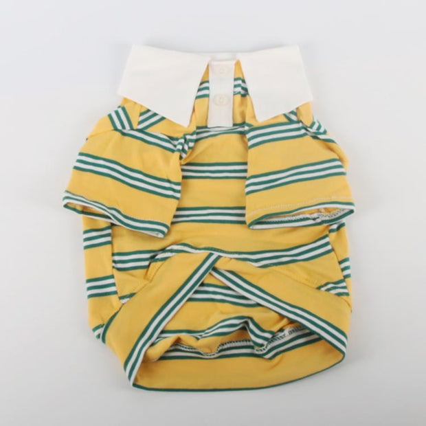 Summer Stripe Polo Dog