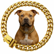 Dog with a gold chain collar on a white background
