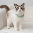 A cat wearing a green pearl necklace on a white background