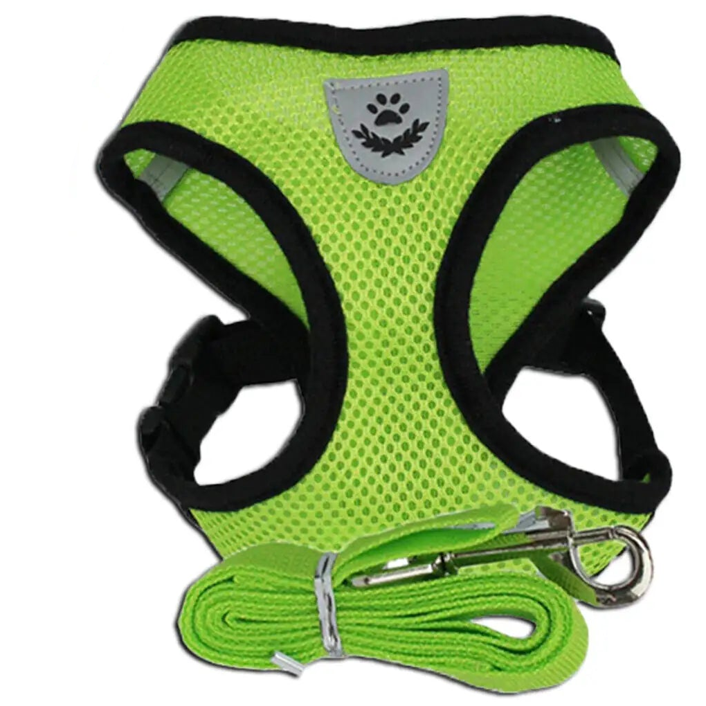 Green harness and leash on a white background
