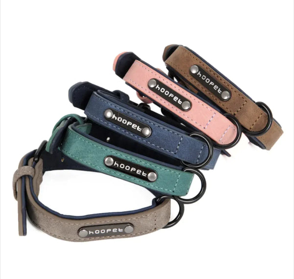 Set of five dog collars in different colors with 'hoopet' branding on a white background.